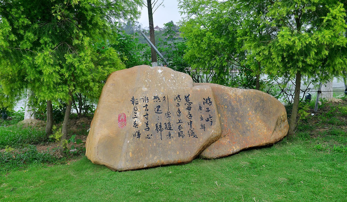 1593245779299866.jpg DSC_3253.JPG